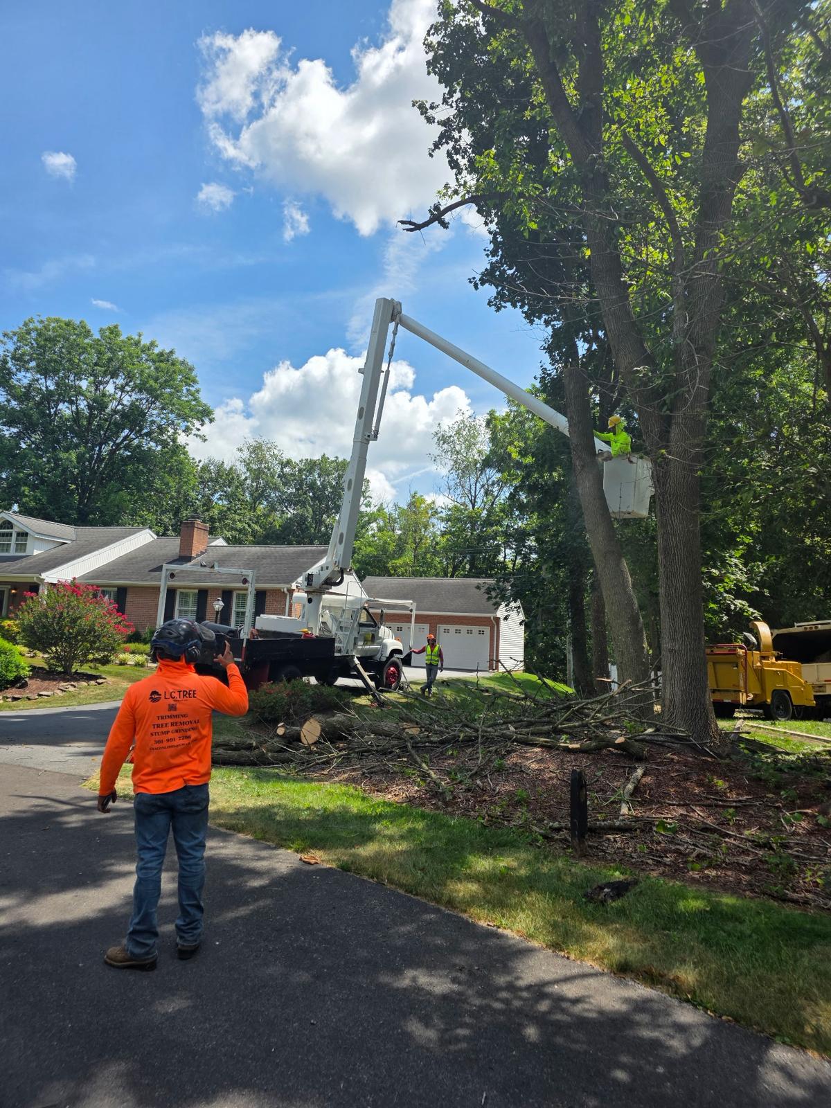 L.C Tree Services LLC Image